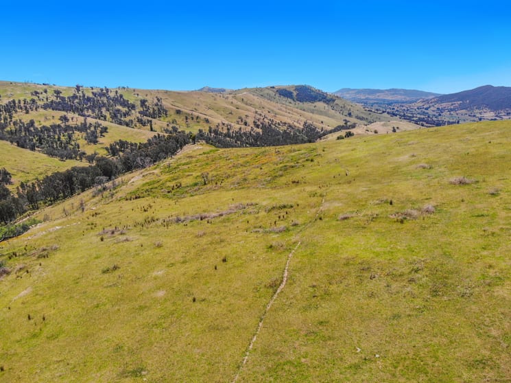 Click to view all images 11/617793 Stewarts Road Batlow NSW 2730 - Image 2
