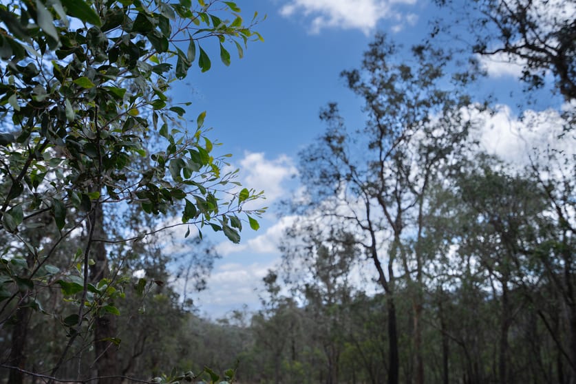 Click to view all images 71 Knackery Road Valencia Creek VIC 3860 - Image 2