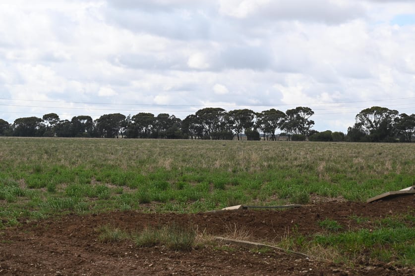 Click to view all images 437 Pyramid - Yarraberb Road Calivil VIC 3573 - Image 2