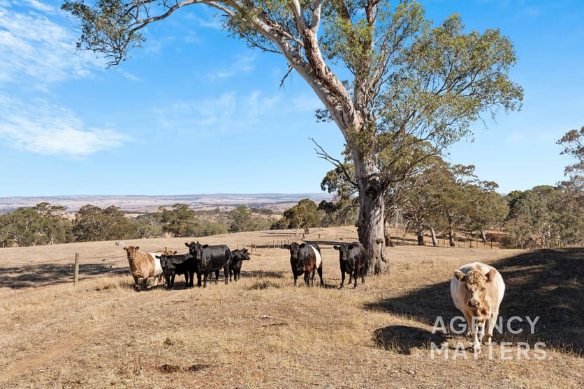 Click to view all images 238 Harrogate Road Brukunga SA 5252 - Image 3