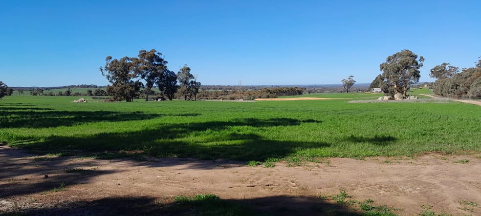 210 Yenellin Road East Pingelly WA 6308 - Image 1