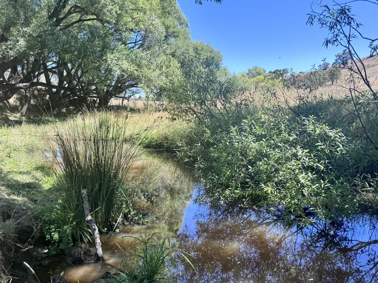 Click to view all images 651 Glen Creek Road Bonnie Doon VIC 3720 - Image 2