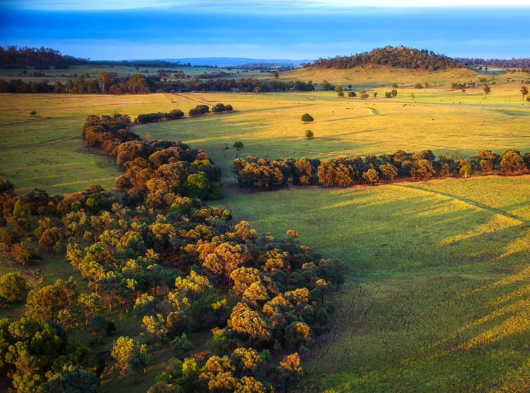 Click to view all images 833 Fosters Road Guluguba QLD 4418 - Image 1