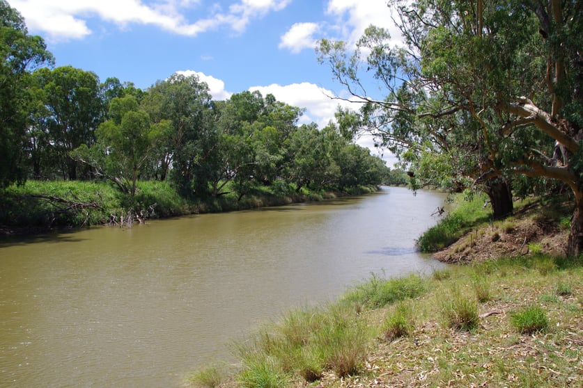 2452 Old Narrabri Road Narrabri NSW 2390 - Image 3