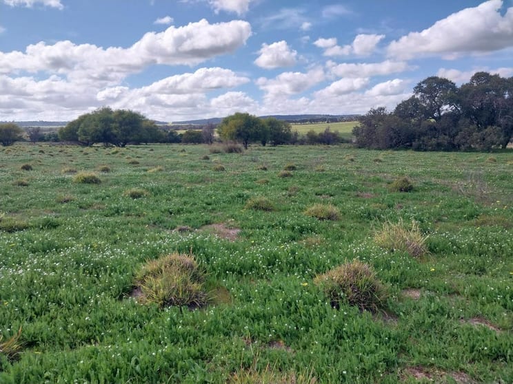 Click to view all images Lot 3816 Minyulo Road Dandaragan WA 6507 - Image 2