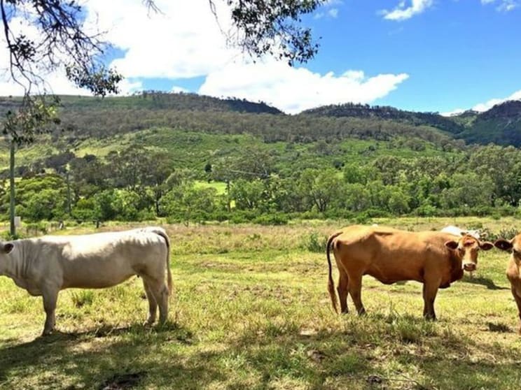 1904 Gatton Clifton Road Fordsdale QLD 4343 - Image 2