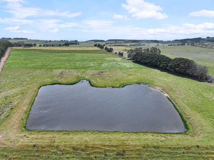 Click to view all images Guys Road Cooriemungle VIC 3268 - Image 1