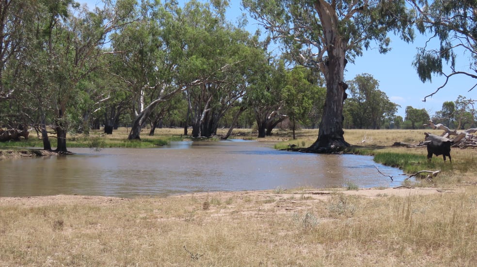 Click to view all images Mooroobie Lane Goondiwindi QLD 4390 - Image 3
