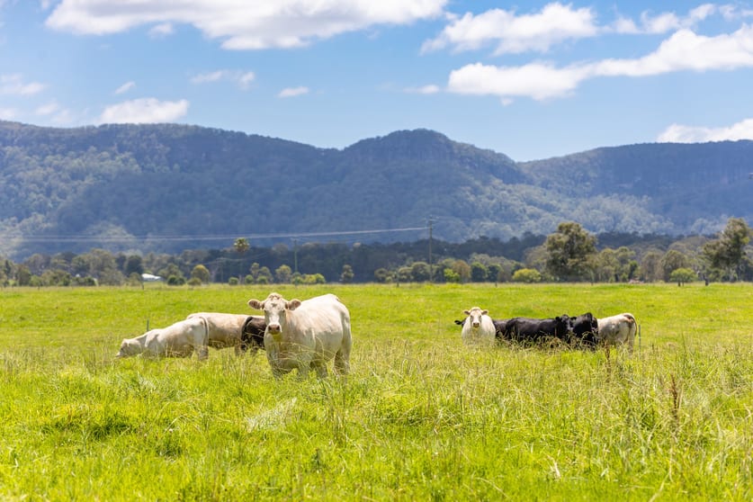 Click to view all images 320-330 Warrens Lane Lansdowne NSW 2430 - Image 3