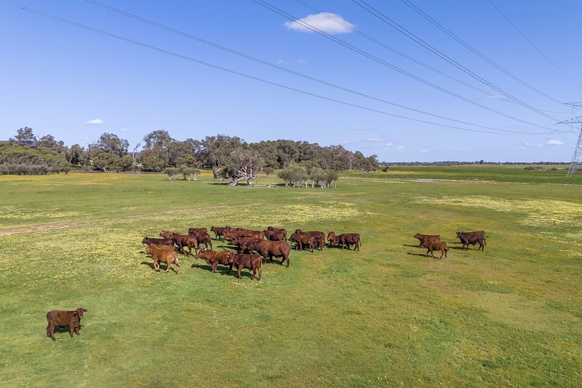 Lot 3119 Brand Highway Gingin WA 6503 - Image 1