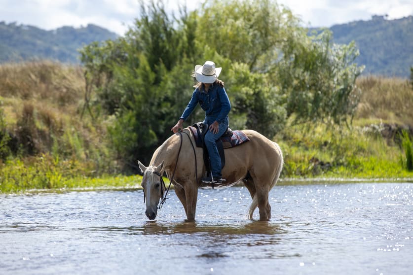 Click to view all images 2021 Mole River Road Mole River NSW 2372 - Image 3