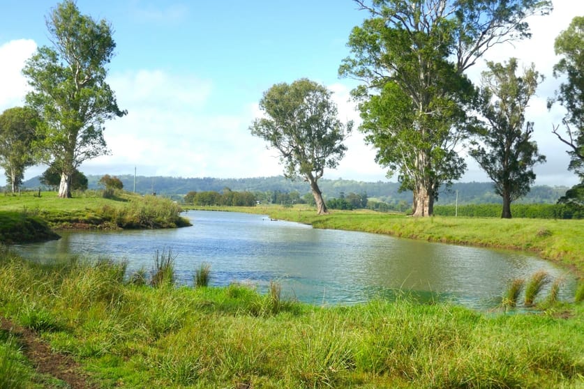 1038 Summerland Way Kyogle NSW 2474 - Image 2