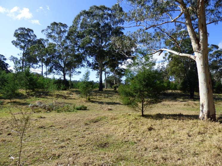 Click to view all images 1394 Princes Hwy, KIAH Via Eden NSW 2551 - Image 3