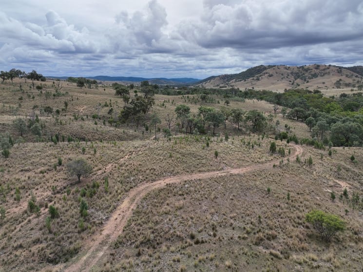 Click to view all images 1872 Mole River Road Tenterfield NSW 2372 - Image 3
