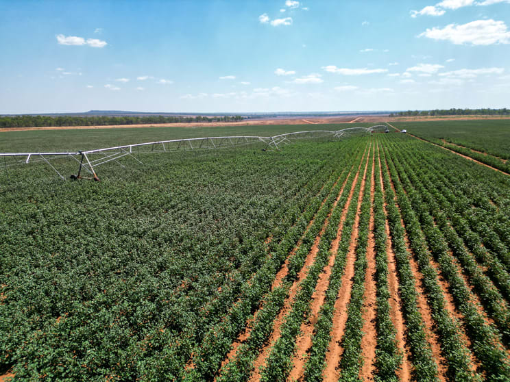 3400 Fleming Road Douglas-daly NT 0822 - Image 2