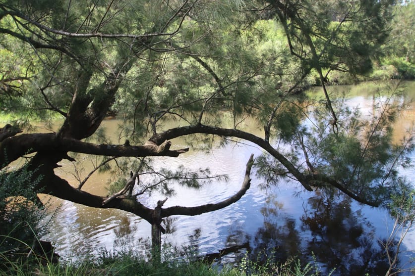 Click to view all images 147 Rover Park Road Tenterfield NSW 2372 - Image 1