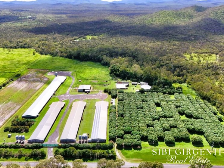 Click to view all images 1004 Bilwon Road Biboohra QLD 4880 - Image 2