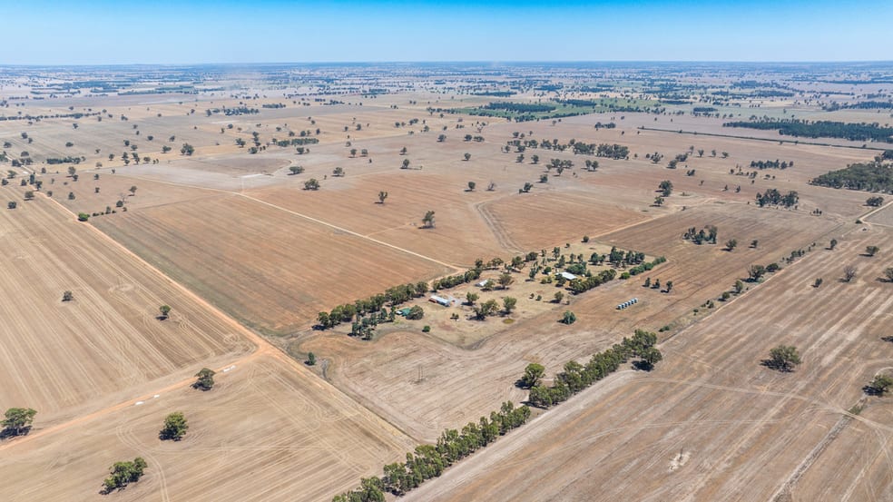 518 Drain Lane Collendina NSW 2646 - Image 1