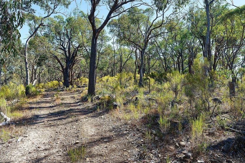 Click to view all images Lot 4 McNutts Lane Heathcote VIC 3523 - Image 1