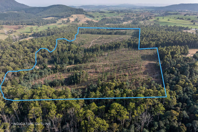 Click to view all images Lot 1 East Maurice Road Talawa TAS 7263 - Image 2