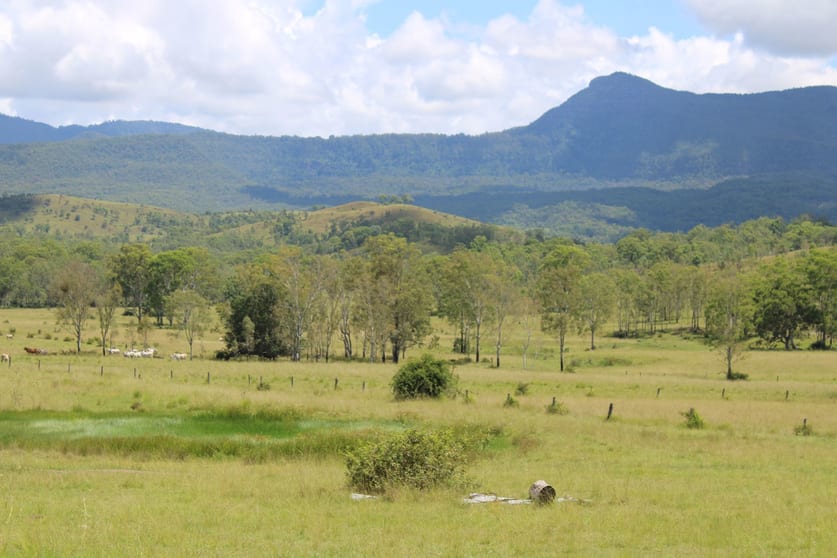 Click to view all images 81 Simmonds Road Tarome QLD 4309 - Image 3