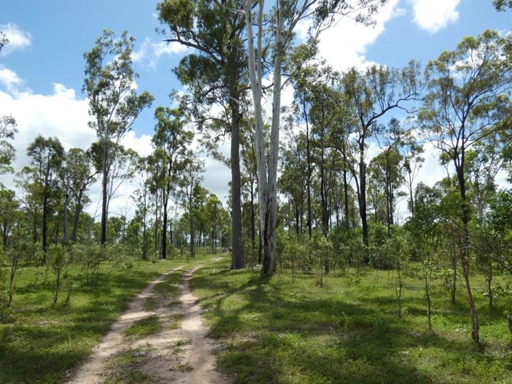 Click to view all images 277 Bushlands Road Bororen QLD 4678 - Image 3
