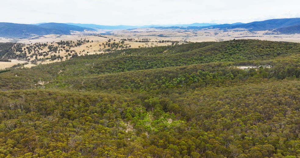 Click to view all images 175 Kangaroo Track Omeo VIC 3898 - Image 1