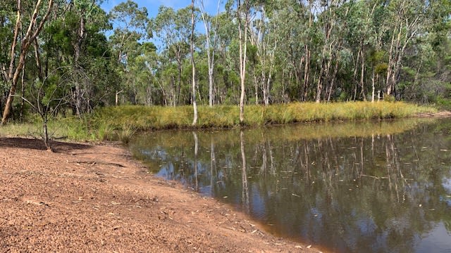 Click to view all images L184 Golden Glow Road Tara QLD 4421 - Image 2