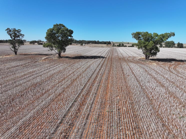 Click to view all images ' The Pines' 57 Walshs Lane Berry Jerry NSW 2701 - Image 2