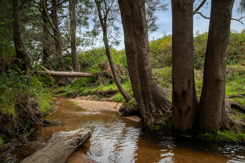 Click to view all images 900 Marsden Swamp Road Ganbenang NSW 2790 - Image 3