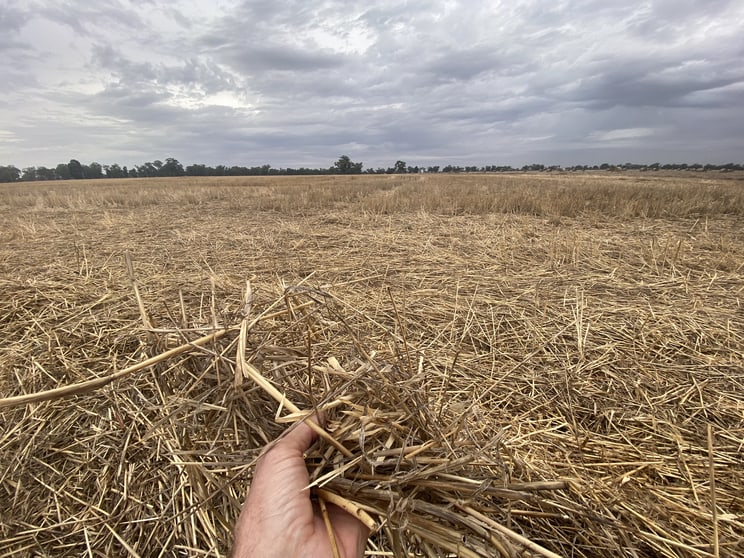 Click to view all images LOT 1/DP52282 Bull Plain Road Mulwala NSW 2647 - Image 3