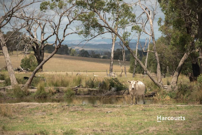 Click to view all images 550 Garfield North Road Garfield North VIC 3814 - Image 1