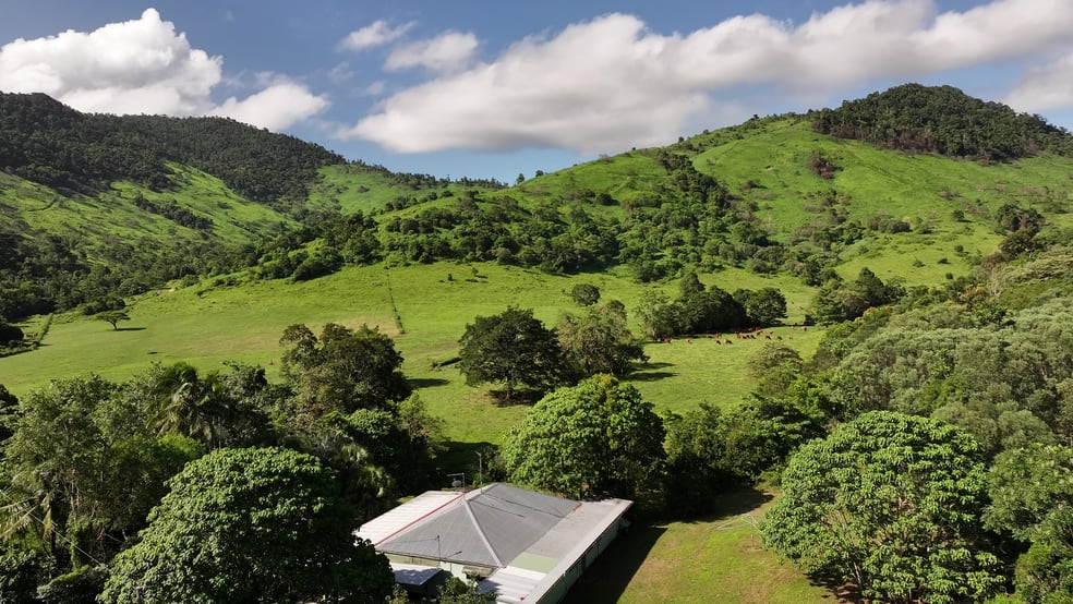 Click to view all images 212 Monaghan Road Palm Grove QLD 4800 - Image 1