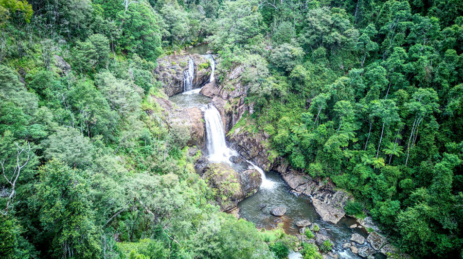 Click to view all images Dorrigo NSW 2453 - Image 1