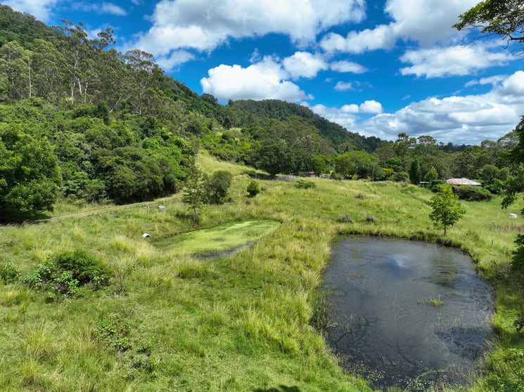Click to view all images 148 Newtons Road Eden Creek NSW 2474 - Image 3