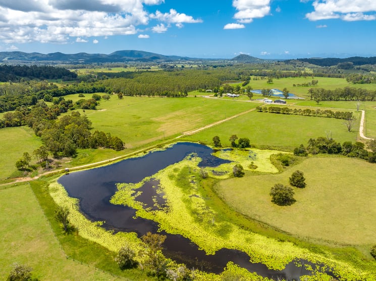 Click to view all images Firefly NSW 2429 - Image 2