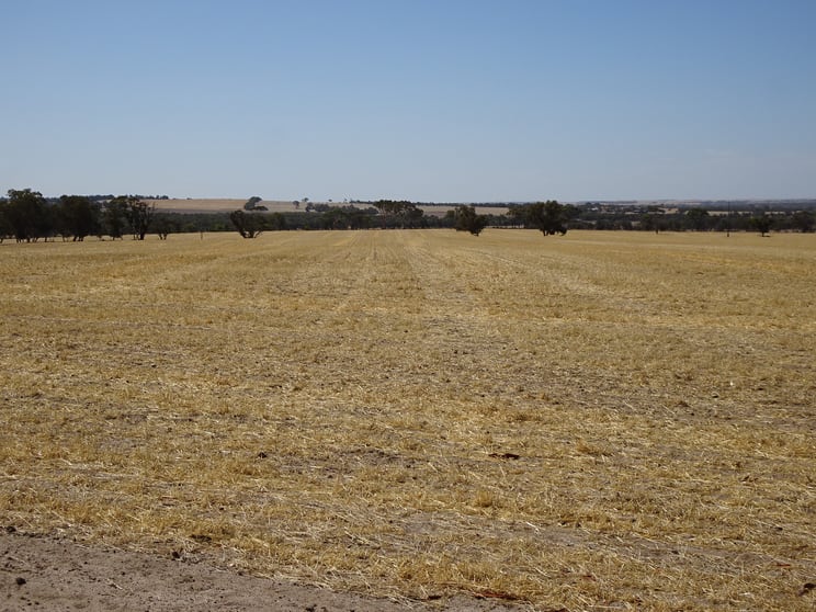 Click to view all images 340 Healey Road Wogolin WA 6370 - Image 3