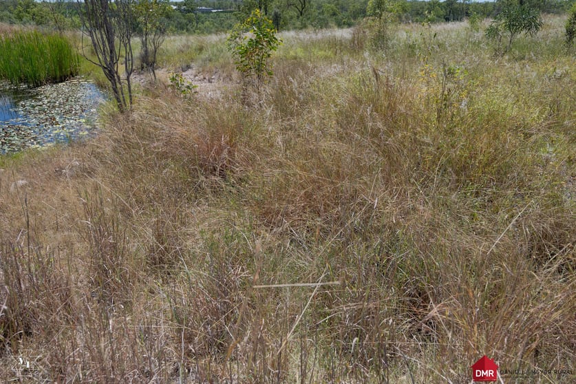 Click to view all images Gayndah QLD 4625 - Image 3