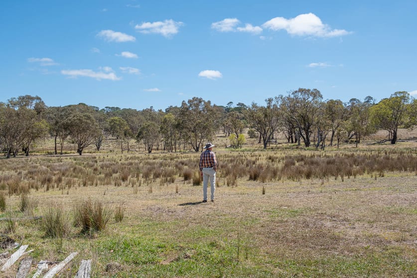 Click to view all images 20 Church Hall Road Goulburn NSW 2580 - Image 3