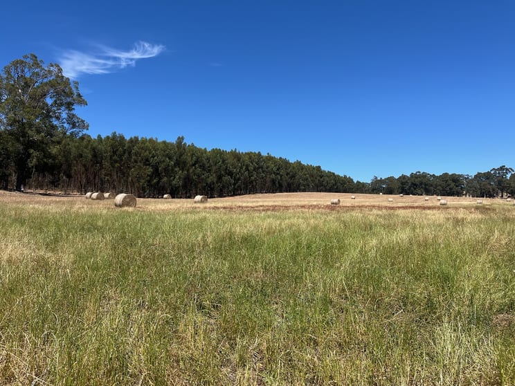 Click to view all images 460 Dixvale Road Manjimup WA 6258 - Image 3