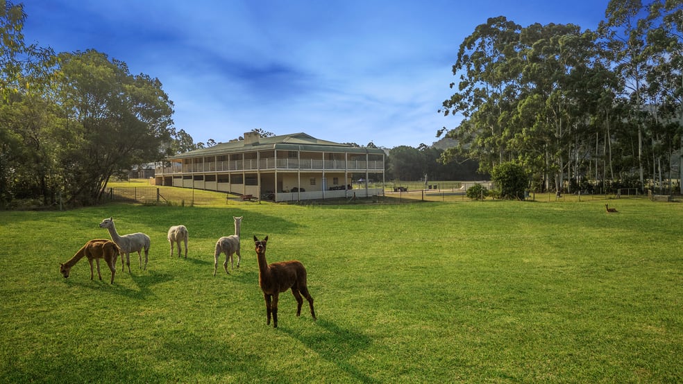 Click to view all images 499 Singleton Road Laughtondale NSW 2775 - Image 3
