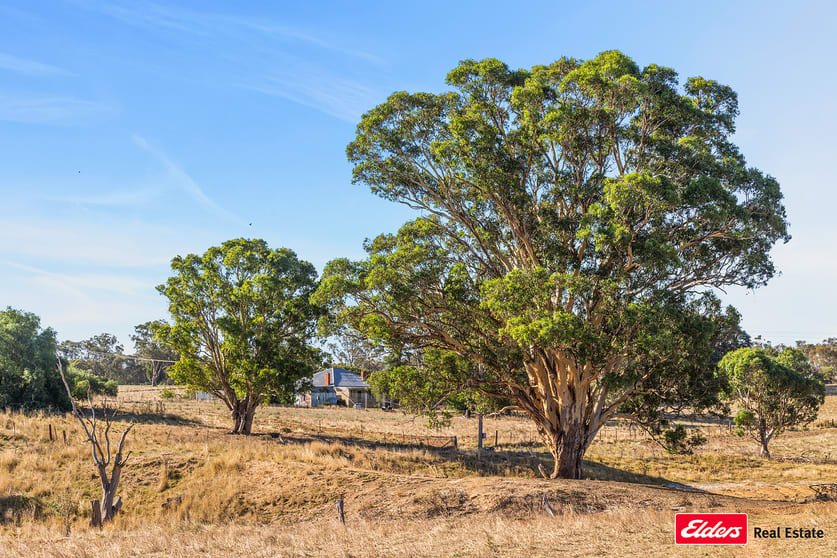 Click to view all images 931 Kingsvale Road Young NSW 2594 - Image 3