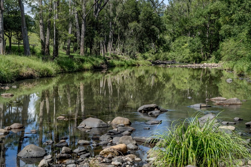 Click to view all images 68 Tyalgum Creek Road Tyalgum Creek NSW 2484 - Image 3