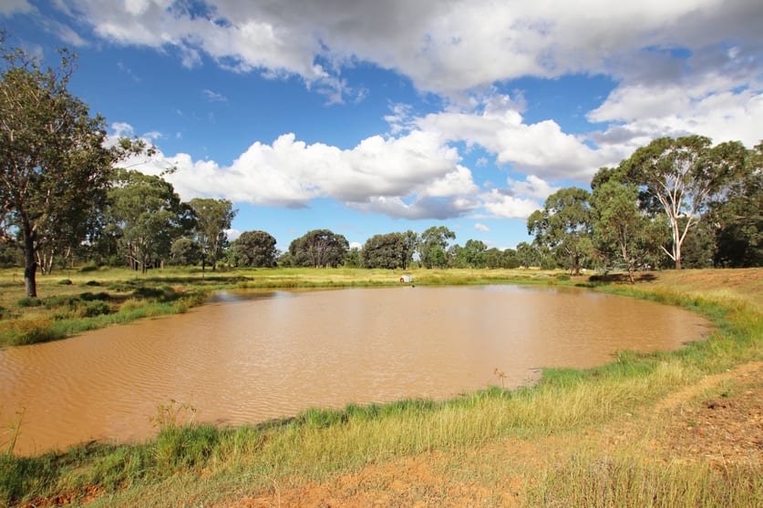 Click to view all images 782 Floods Road Dululu QLD 4702 - Image 3
