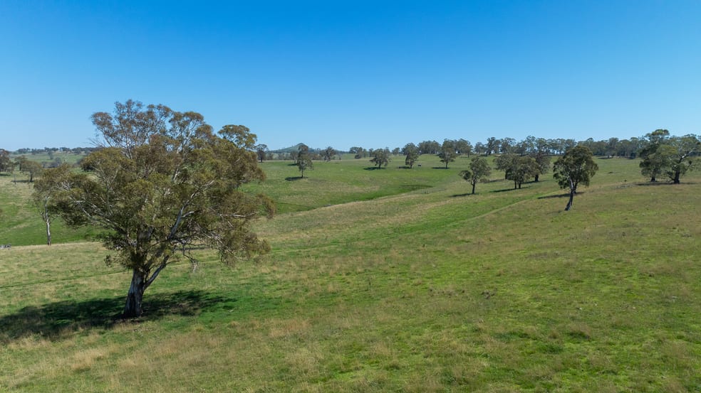 1006 Green Hills Road Guyra NSW 2365 - Image 2