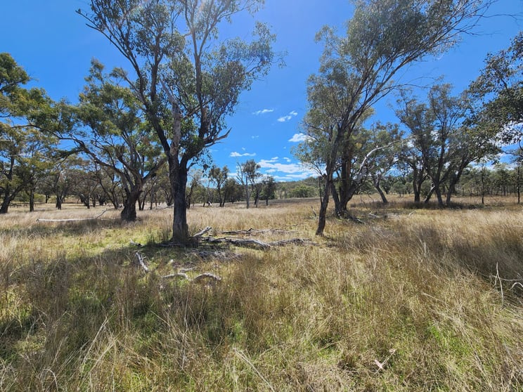 Click to view all images Lot 2 Stanthorpe Texas Road Stanthorpe QLD 4380 - Image 2