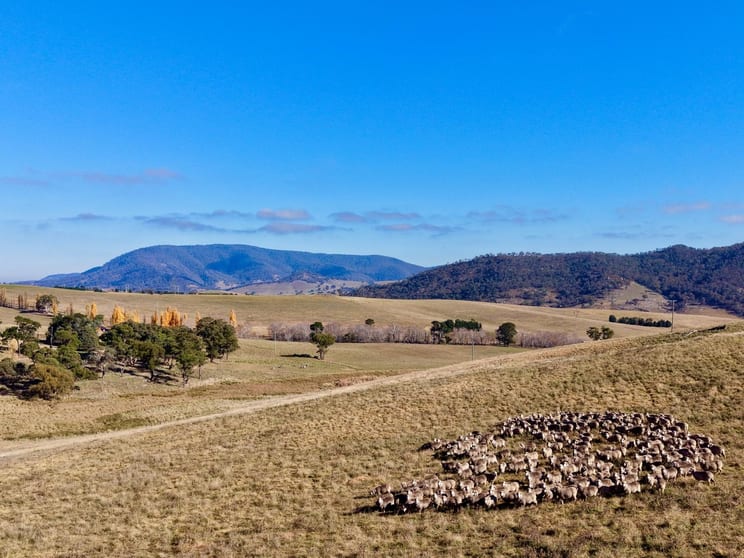 Lot 1/976 Sodwalls Road Tarana NSW 2787 - Image 2