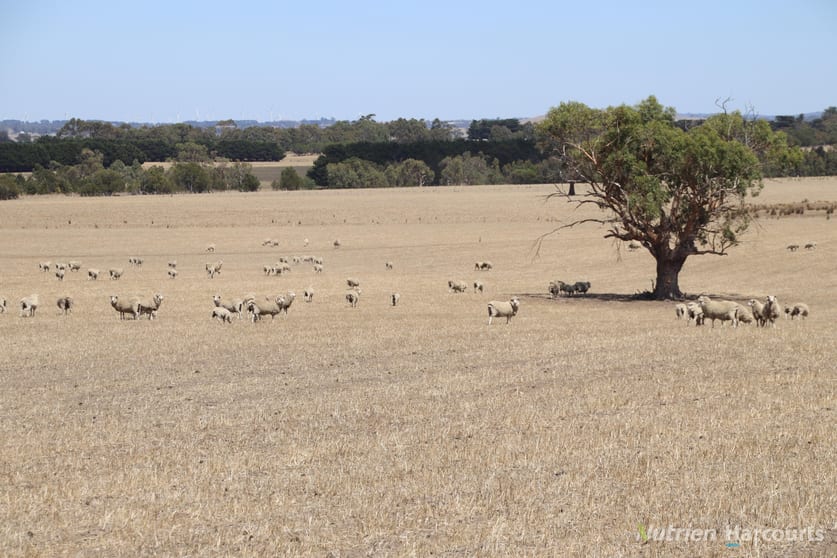 Click to view all images Lot 2 Mount Blackwood Road Korobeit VIC 3341 - Image 3