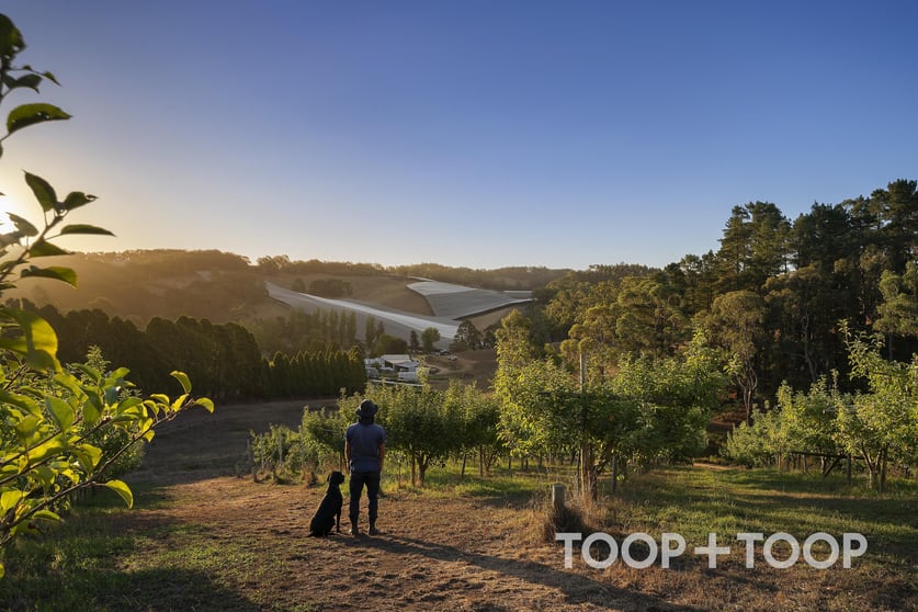 Click to view all images 1 Stentiford Road Forest Range SA 5139 - Image 1