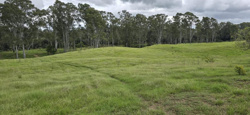 LOT 98 Blackmount Road Owanyilla QLD 4650 - Image 3